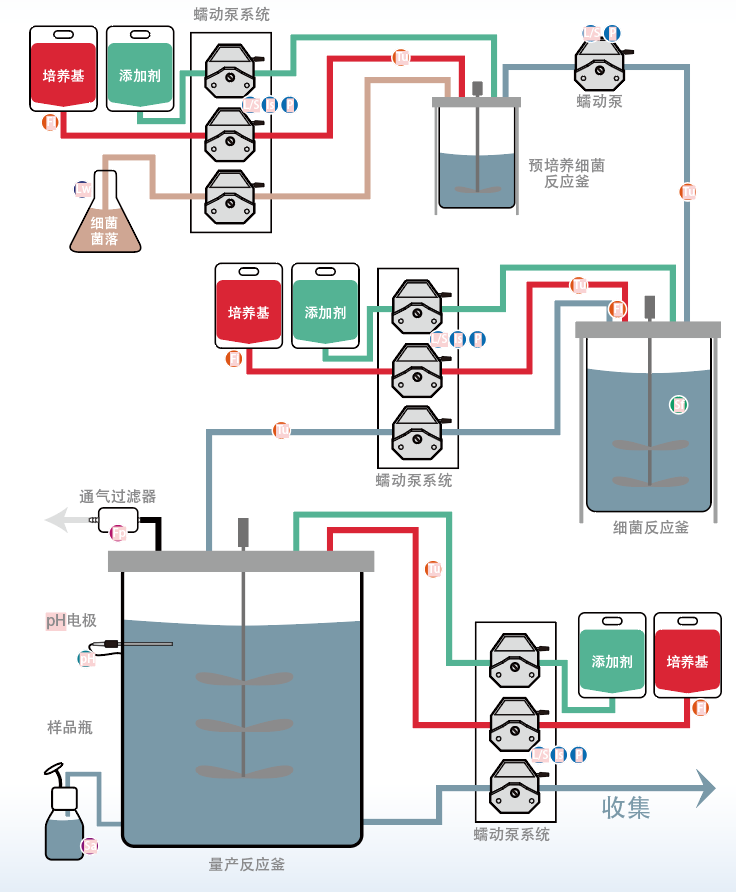 蠕动泵在生物制药发酵阶段的应用